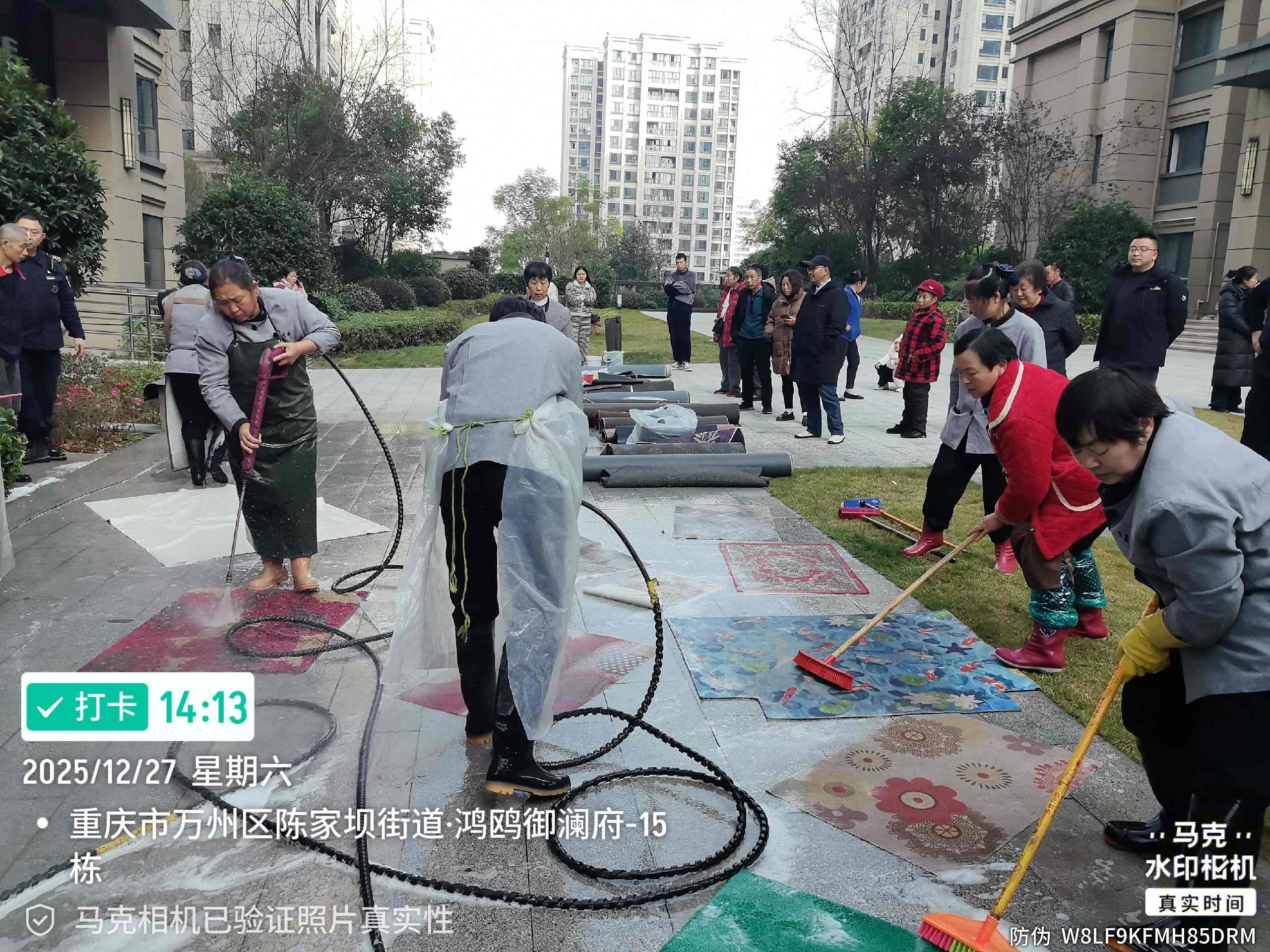地垫清洗活动(1).jpg