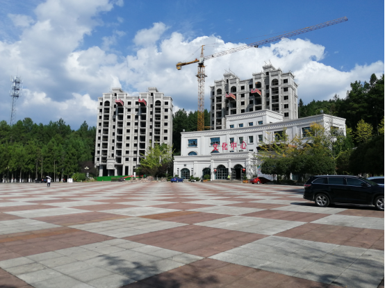 皇家壹号(图8)