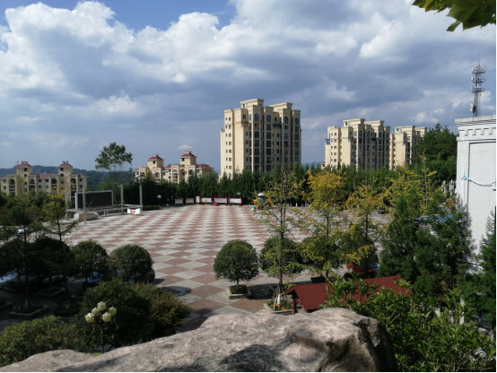 皇家壹号(图7)