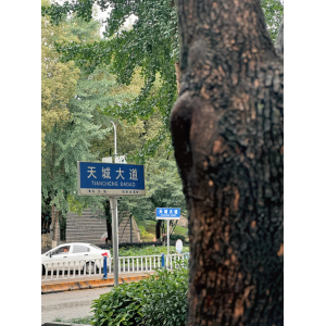源梦文旅｜天城大道，人文底蕴与城市烟火交织的活力长廊